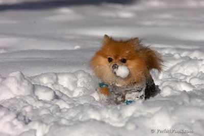 Feb7_08_251.jpg