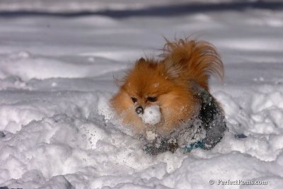 Feb7_08_255.jpg