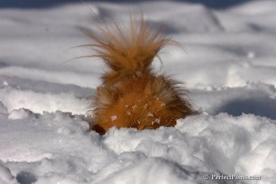 Feb7_08_257.jpg