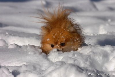 Feb7_08_258.jpg