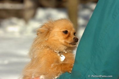 Feb7_08_262.jpg