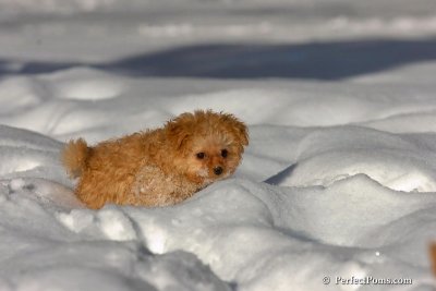 Feb7_08_263.jpg