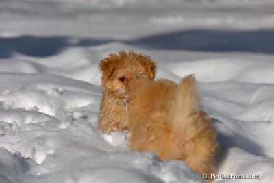 Feb7_08_265.jpg