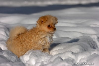 Feb7_08_266.JPG