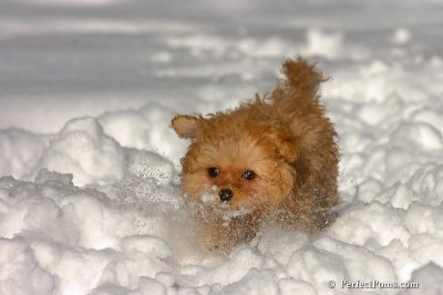 Feb7_08_267.jpg