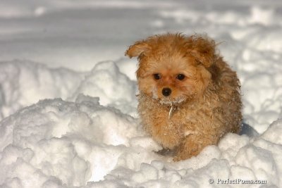 Feb7_08_268.jpg