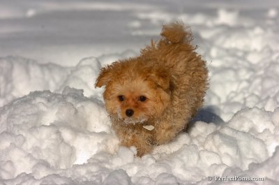 Feb7_08_269.JPG