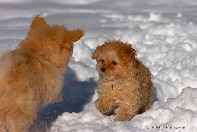 Feb7_08_272.jpg