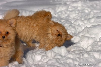 Feb7_08_273.jpg