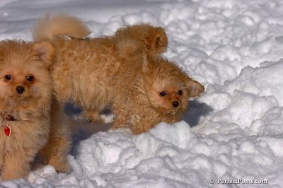 Feb7_08_274.jpg