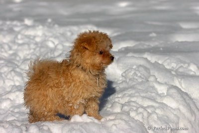 Feb7_08_275.jpg