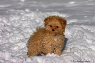 Feb7_08_277.jpg
