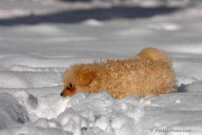 Feb7_08_278.jpg