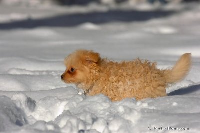 Feb7_08_279.jpg