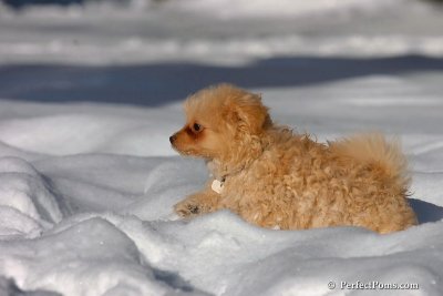 Feb7_08_280.jpg