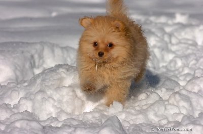 Feb7_08_281.JPG