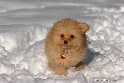 Feb7_08_282.jpg