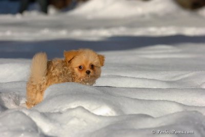 Feb7_08_283.jpg