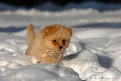 Feb7_08_285.jpg