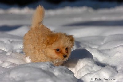 Feb7_08_286.jpg