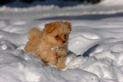 Feb7_08_287.jpg