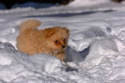Feb7_08_288.jpg