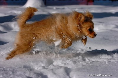 Feb7_08_076.JPG