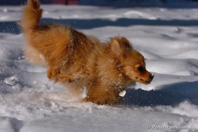 Feb7_08_077.jpg