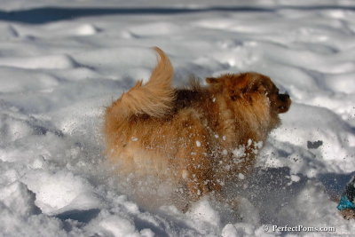 Feb7_08_079.jpg