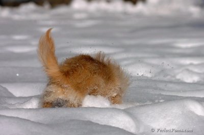 Feb7_08_090.jpg
