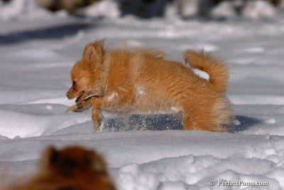Feb7_08_097.jpg