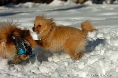 Feb7_08_111.jpg