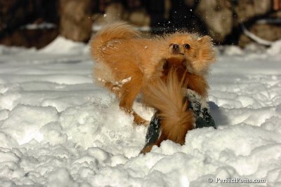 Feb7_08_121.jpg