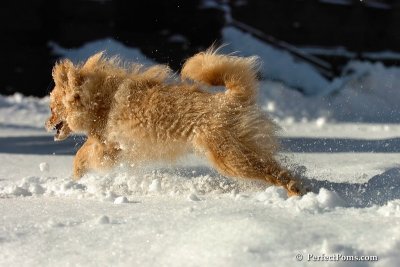 Feb7_08_124.jpg