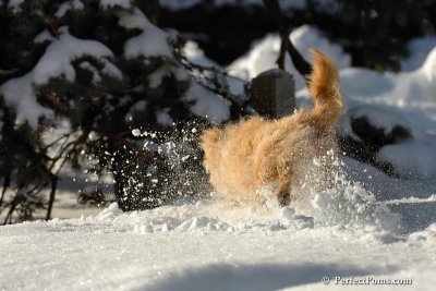 Feb7_08_141.jpg