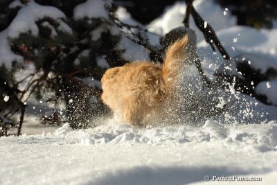 Feb7_08_142.jpg