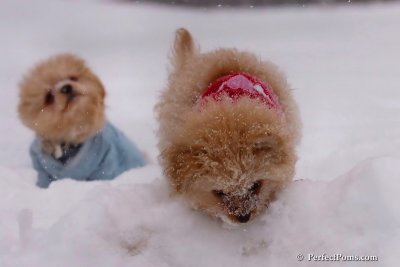 Feb12_08_165.jpg