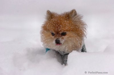 Feb12_08_188.JPG