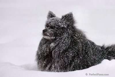 Feb12_08_204.jpg