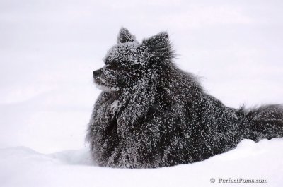 Feb12_08_205.JPG
