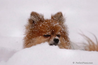 Feb12_08_013.jpg