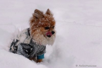 Feb12_08_018.jpg
