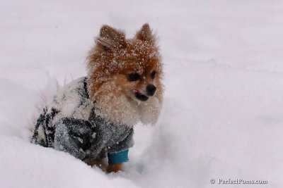 Feb12_08_019.jpg