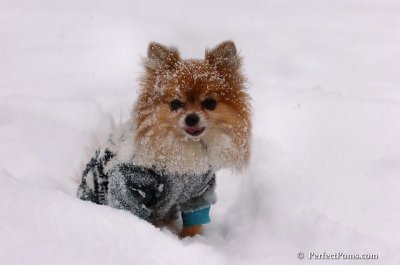 Feb12_08_021.JPG