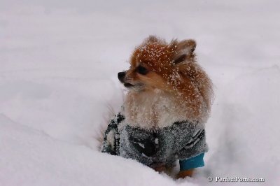Feb12_08_024.jpg