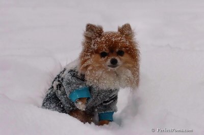 Feb12_08_025.jpg