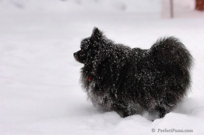 Feb12_08_028.JPG