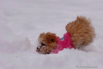 Feb12_08_029.jpg