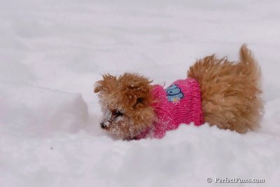 Feb12_08_030.jpg