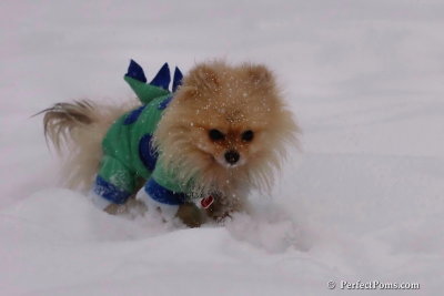 Feb12_08_040.jpg